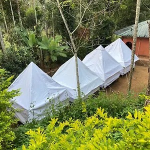 Plantation Tent And Swimming Pool Resort Wayanad